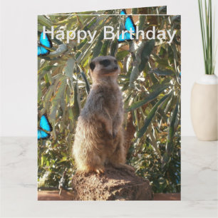 Carte Meerkat Blue Butterflies, Jumbo Birthday Card.