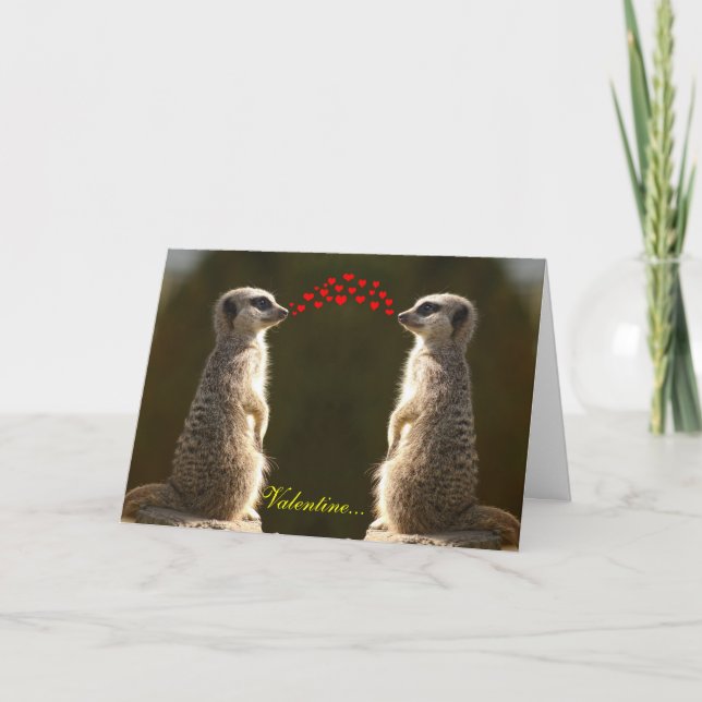 Carte Meerkat Valentine 003 (Devant)
