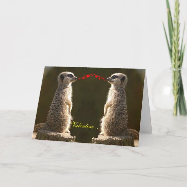 Carte Meerkat Valentine 004 (Devant)