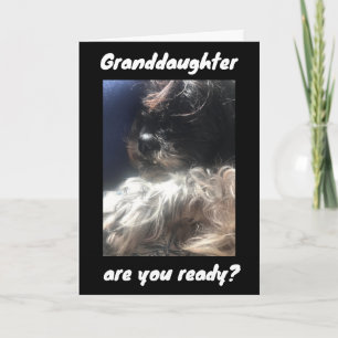 CARTE MEILLEUR ANNIVERSAIRE JAMAIS À ***GRANDFIUGHTER***