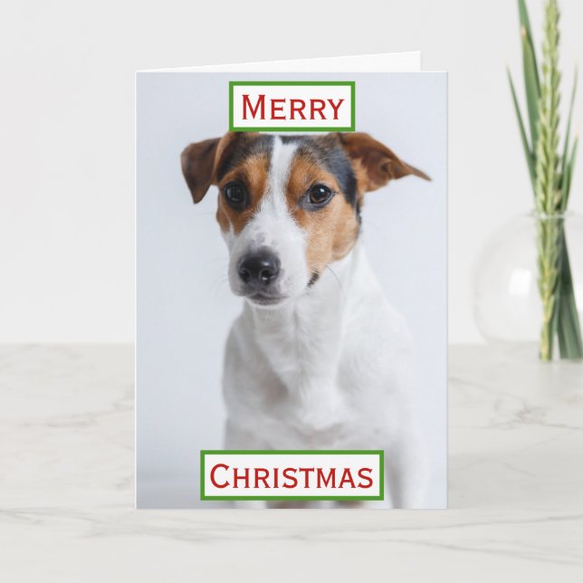Carte Meilleur papa chien de Noël Photo de compagnie (Devant)
