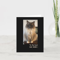 Meilleure maman de chat pour la fête des mères