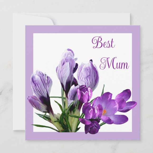 Carte Meilleure maman joli crocus mauve coloré fleuri (Devant)