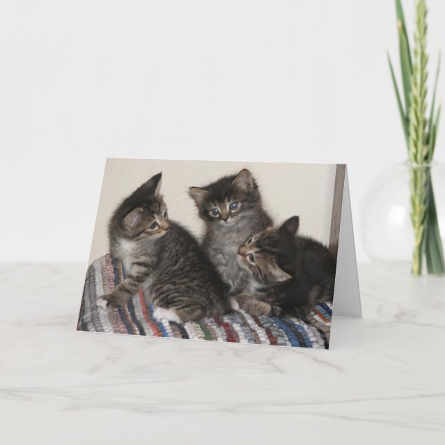 Carte Meilleurs amis (Devant)