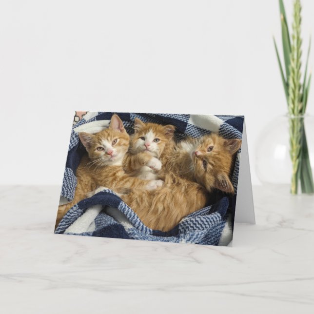 Carte Meilleurs amis (Devant)