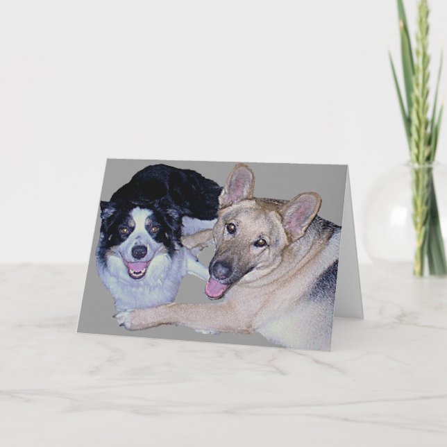 Carte Meilleurs amis Bordure Collie & Berger allemand (Devant)