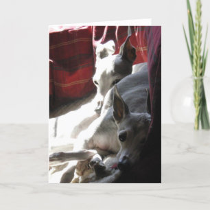 Carte "Meilleurs amis" photo grecque italienne