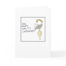 Melon Cantaloup Manquant Illustré de Manière Étran