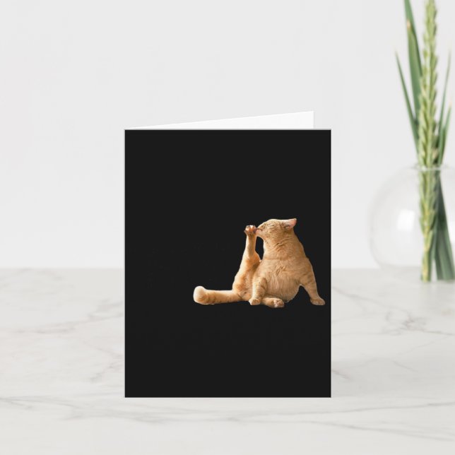 Carte Mème Cly Mince Très Dépourvu Mal Drôle Chat (Devant)
