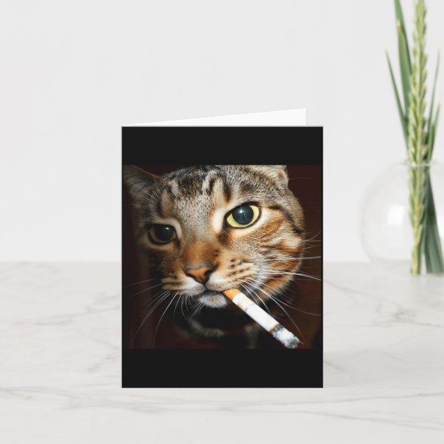 Carte Mème de chat qui fume drôle humour noir chat sarca (Devant)