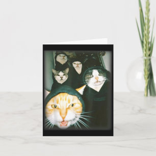 Carte Mème de Gang de Chat Drôle Chats Chaotiques Félin