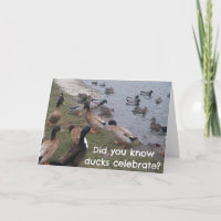 MÊME LES "CANARDS" CÉLÉBRENT VOTRE ANNIVERSAIRE
