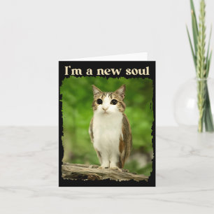 Carte Mème Meowl Drôle, Mème Chat Hibou Brainrot Gen Alp