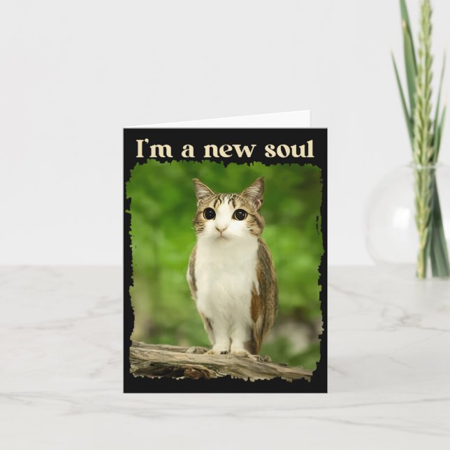 Carte Mème Meowl Drôle, Mème Chat Hibou Brainrot Gen Alp (Devant)