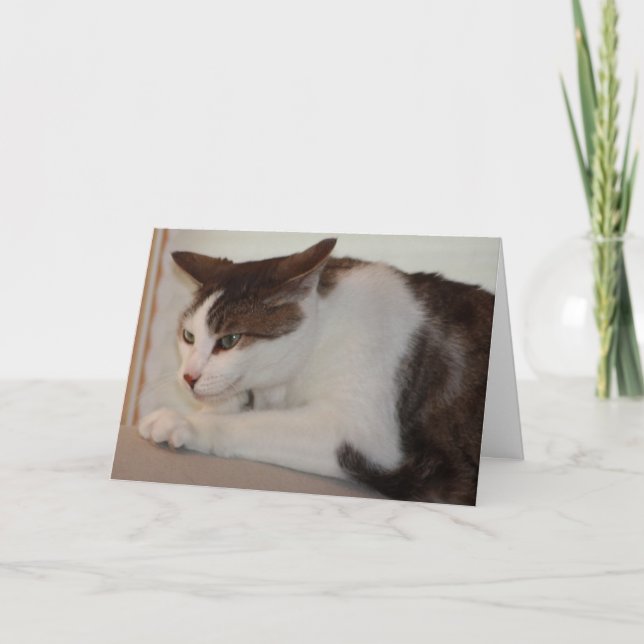 Carte Même un bon chat peut avoir un mauvais jour ! (Devant)