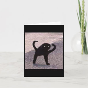 Carte Mèmes de chat maudit Chat maudit Colère de chat co