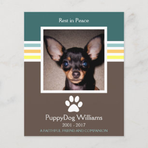 carte mémoire mod pet loss