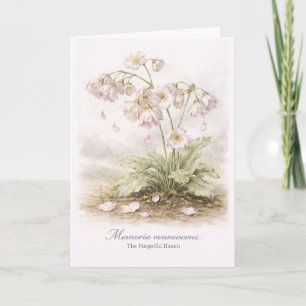 Carte Memoria Evanescens – La Fleur Botanique Forgetful