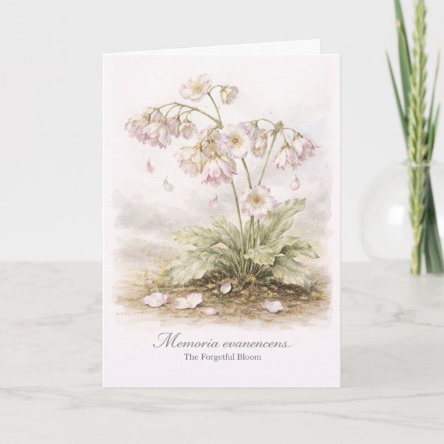 Carte Memoria Evanescens – La Fleur Botanique Forgetful (Devant)
