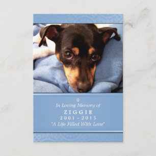 Carte Mémorial Chien 3,5 x 5 Bleu Ne pas ourler Po