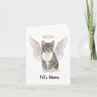 Mémorial de la Sympathie du chat Grey Tabby