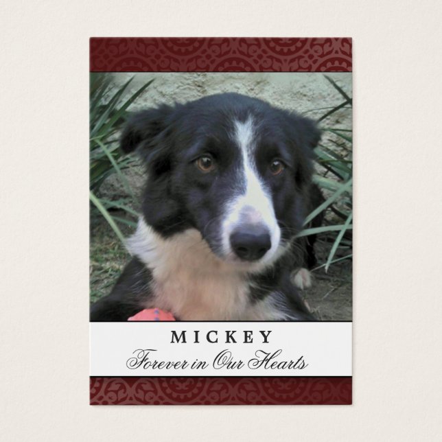 Carte Mémorial Pet Photo Maroon - Ne pas pleurer P (Devant)