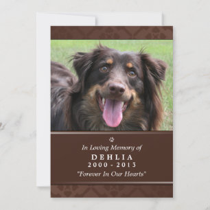 Carte Mémorial pour animaux de compagnie 5"x7" Bro