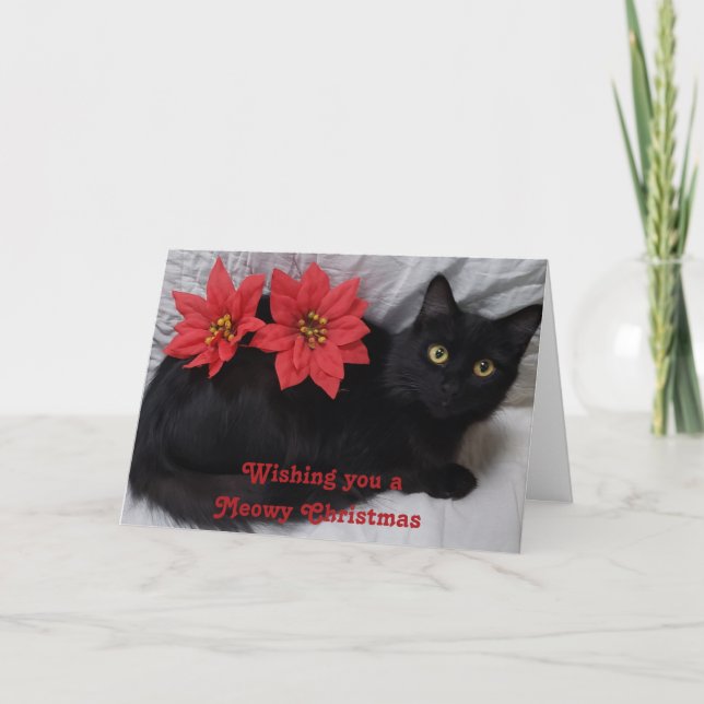Carte Meowny Noël Chat noir Rouge Poinsettias Photo (Devant)