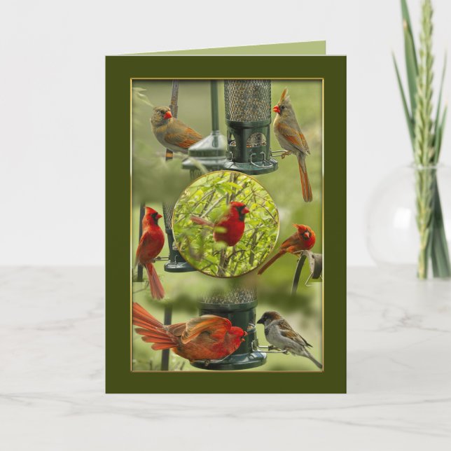 Carte Merci, Cardinaux rouges masculins et féminins du N (Devant)