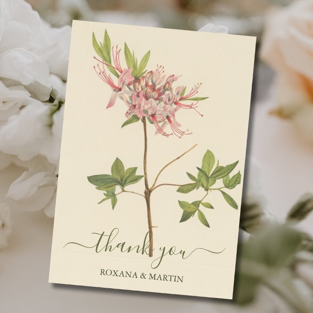 Carte Merci d'aquarelle vintage rose azalée (Créateur téléchargé)