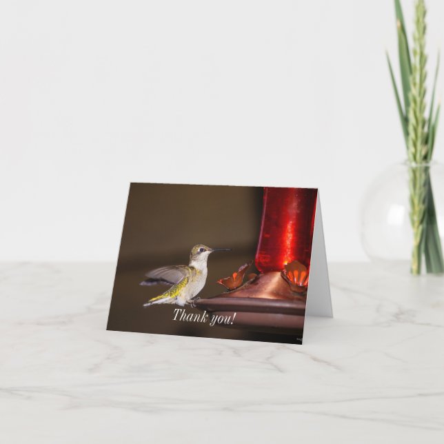 Carte Merci de colibri à gorge rubis (Devant)