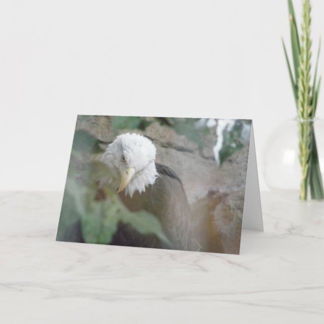 Carte Merci d'oiseaux d'aigle à tête blanche, note (Devant)