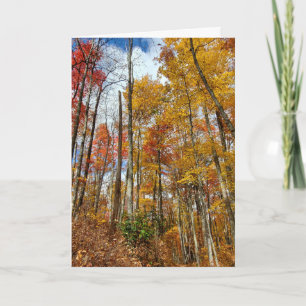 Carte Merci Gratuit Blessé Automne Feuilles Thanksgiving