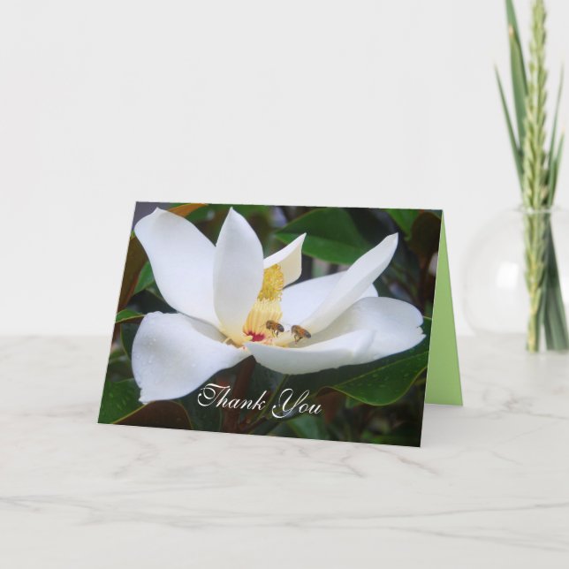 Carte Merci Magnolia et Abeilles (Devant)