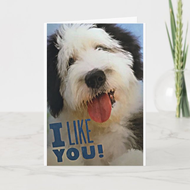 CARTE ***MERCI NOËL*** **VOUS AIMEZ** & **VOUS AIMEZ*** (Devant)