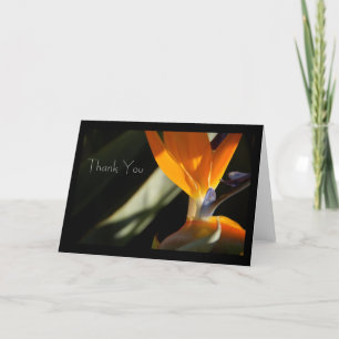 Carte Merci Oiseau du Paradis