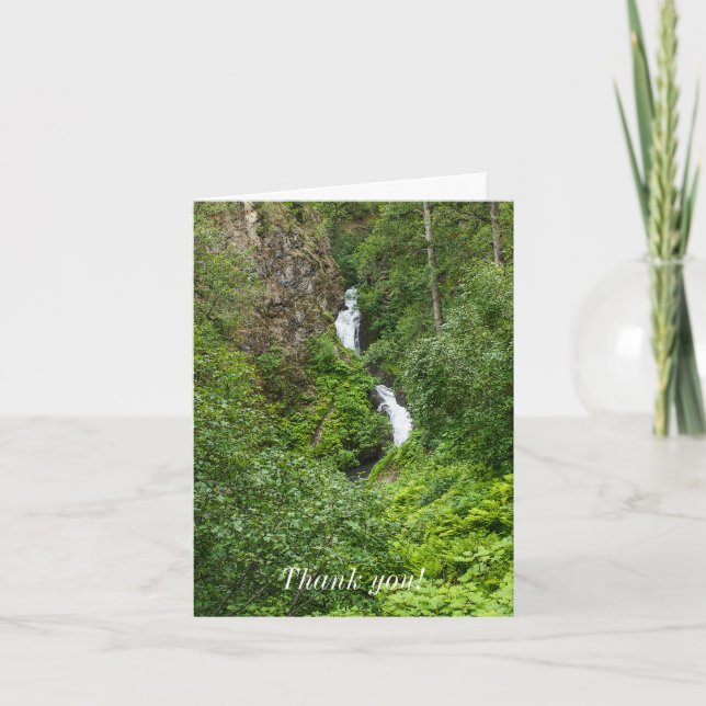 Carte Merci peint de Thunderbird Plush (Devant)