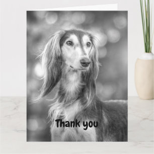 Carte Merci Saluki