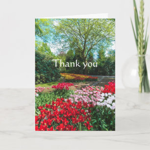 Carte Merci Tulipes Jardin Colorées Fleurs Néerlandaises