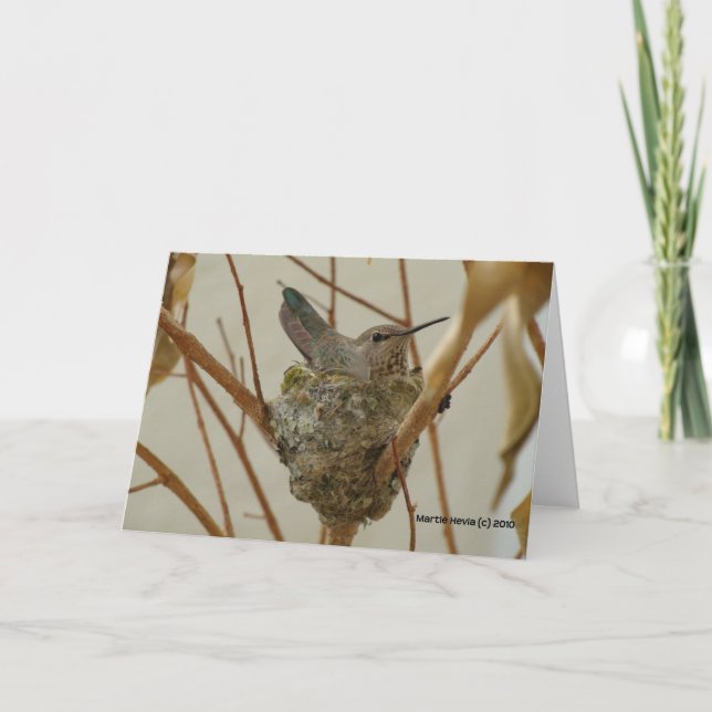 Carte Mère Colibri (Devant)