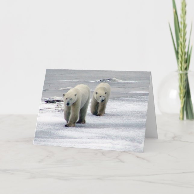 Carte mère et enfant de l'ours polaire (Devant)
