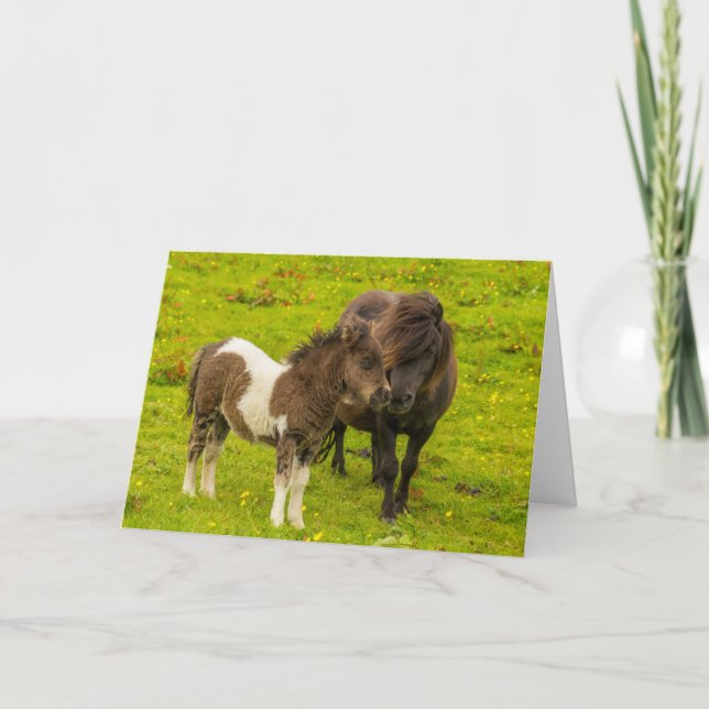Carte Mère et progéniture de poney Shetland (Devant)