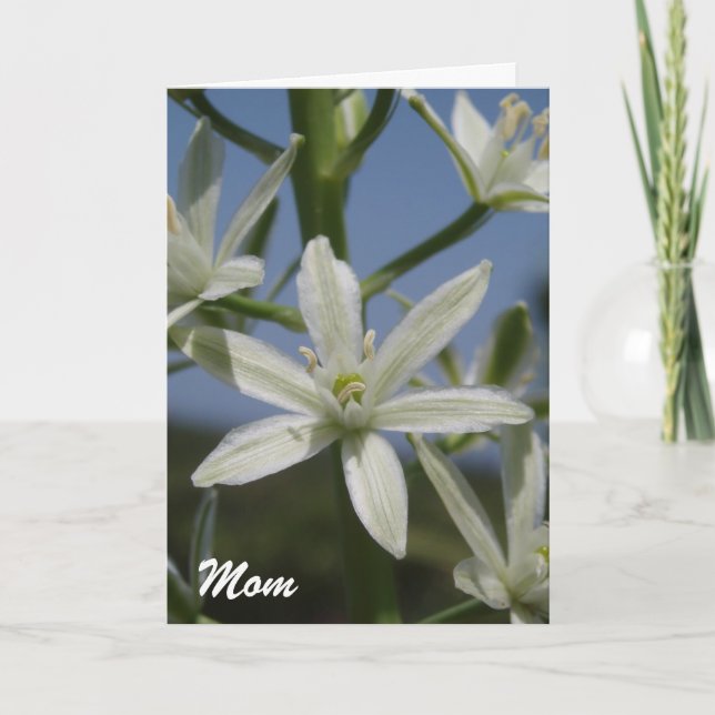 Carte mère Fleurs blanches (Devant)
