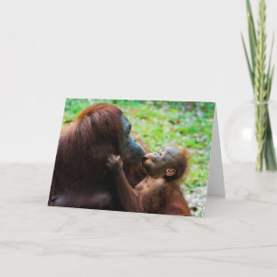 Carte Mère orang-outan avec bébé