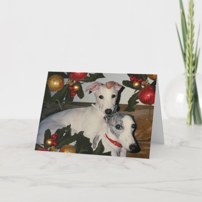 Carte mère Whippet et Pup (Devant)