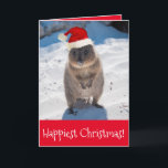 Carte Merry Christmas & Happy New Year Quokka Beach Red<br><div class="desc">The qukka is the happiest animal in the world ! Qui a écrit "wish your family and friends a Merry Christmas and a Happy New Year" ? The photo of this extremely cute and consolive quokka was taken on a pristine beach on Rottnest Island, one of the most popular holiday...</div>