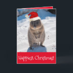 Carte Merry Christmas & Happy New Year Quokka Beach Red<br><div class="desc">The qukka is the happiest animal in the world ! Qui a écrit "wish your family and friends a Merry Christmas and a Happy New Year" ? The photo of this extremely cute and consolive quokka was taken on a pristine beach on Rottnest Island, one of the most popular holiday...</div>