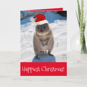 Carte Merry Christmas & Happy New Year Quokka Beach Red