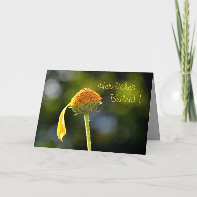 Carte Mes sincères condoléances ! Avec une fleur jaune (Devant)