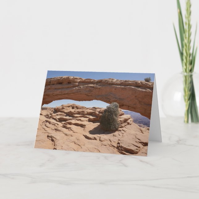 Carte Mesa Arch et Tumbleweed à Canyonlands (Devant)